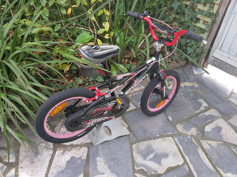 schwinn scorch
